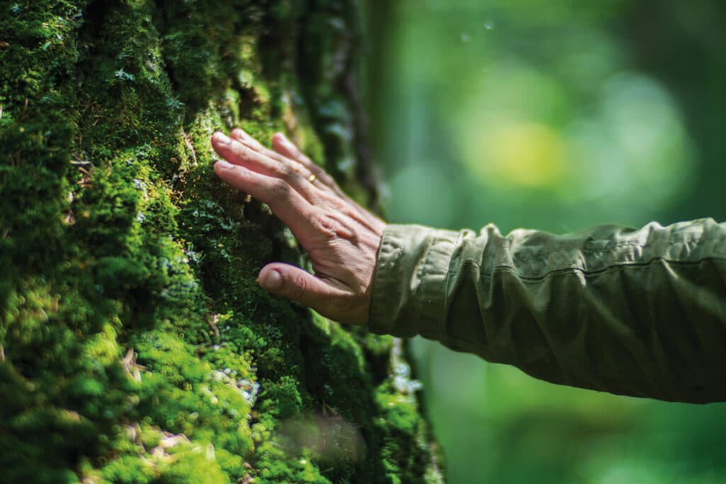 Image of a hand reaching out to touch lush green vegetation.